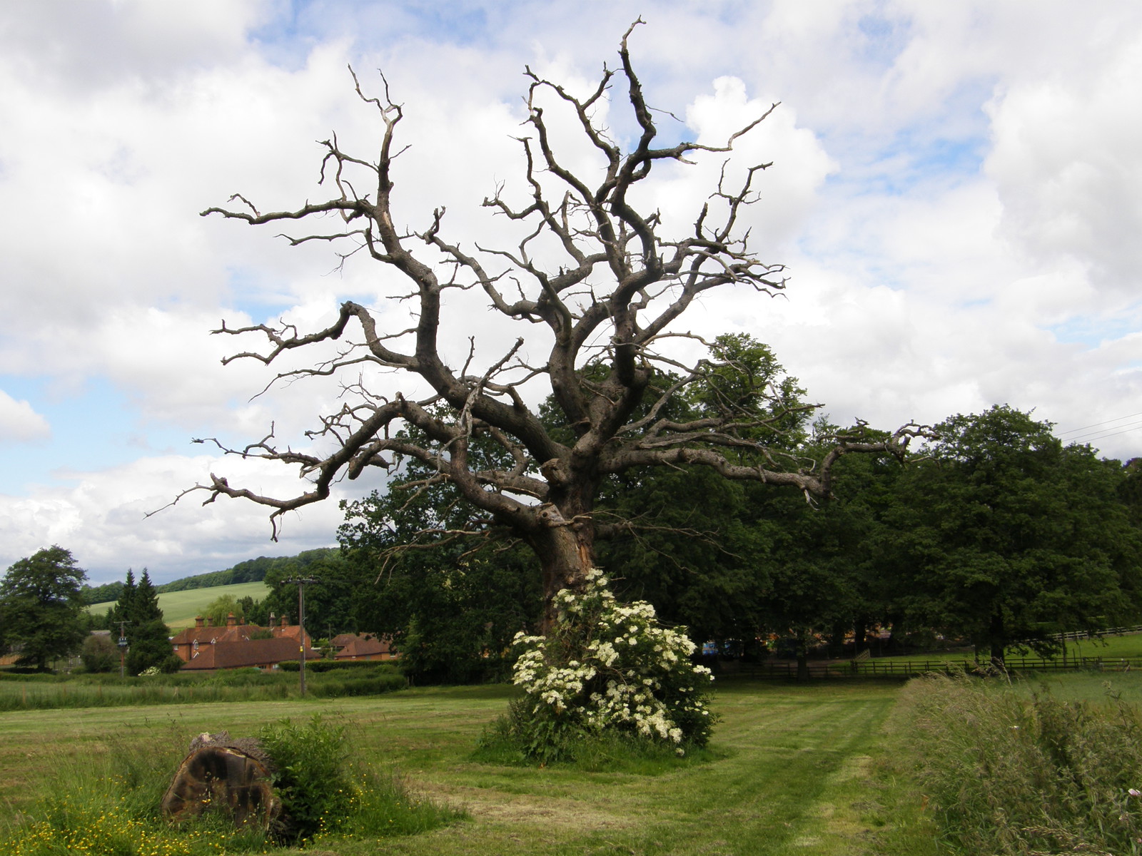 Image from Chorleywood to Amersham and Chesham