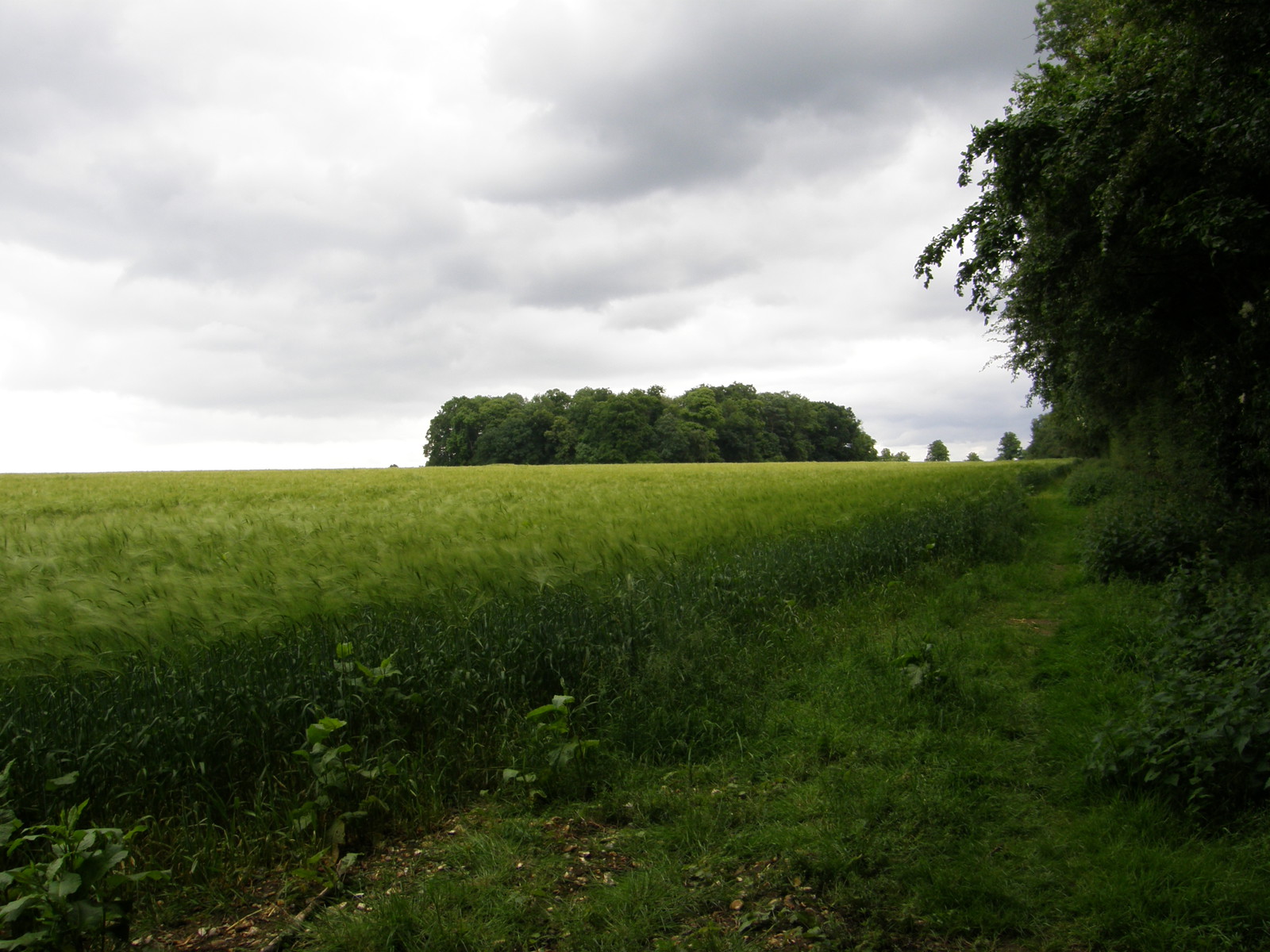 Image from Chorleywood to Amersham and Chesham