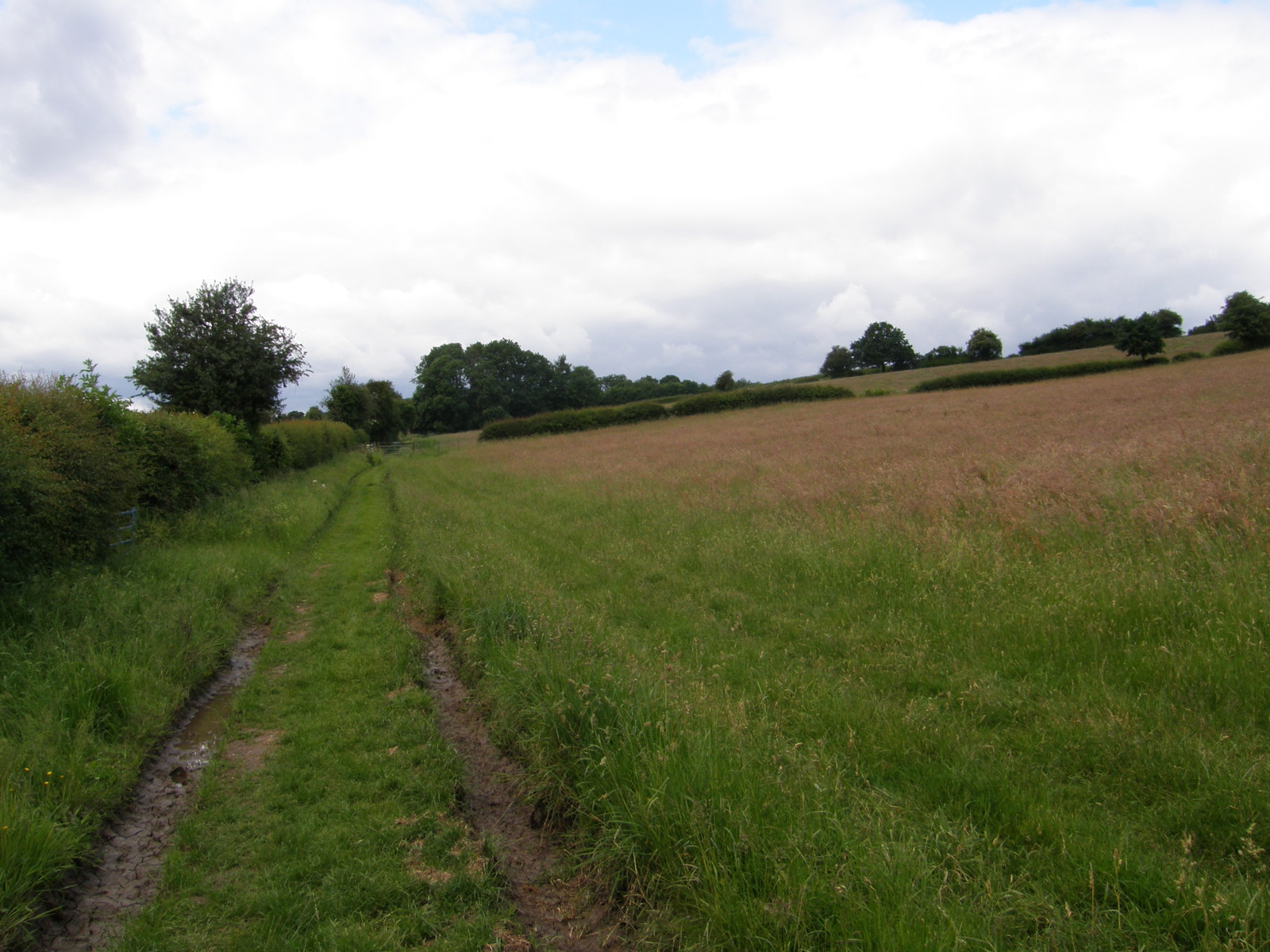 Image from Chorleywood to Amersham and Chesham