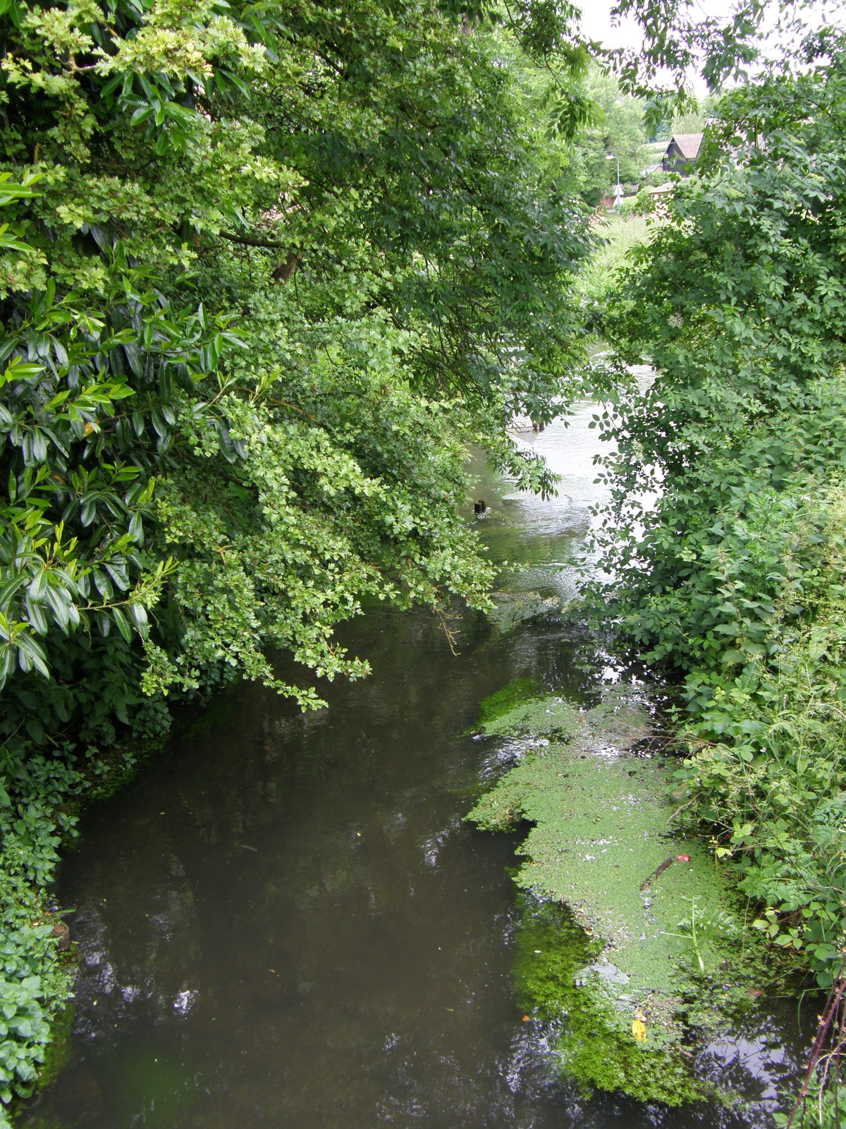 Image from Chorleywood to Amersham and Chesham