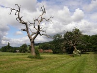 Scenery in the Chess Valley