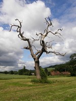 Scenery in the Chess Valley