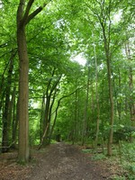 Image from Chorleywood to Amersham and Chesham