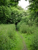 Image from Chorleywood to Amersham and Chesham