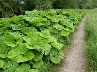 Image from Chorleywood to Amersham and Chesham