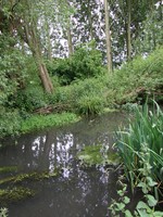 Image from Chorleywood to Amersham and Chesham