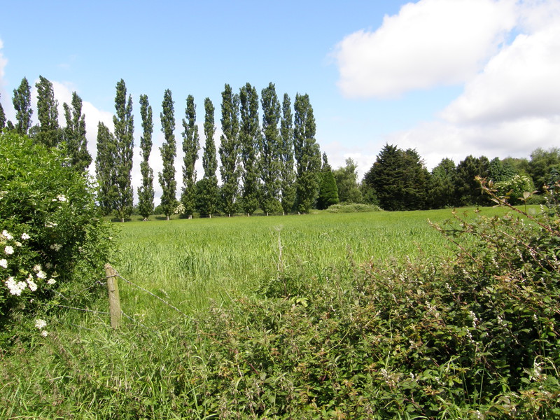 Raans Farm