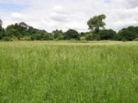 A picture from the Metropolitan line