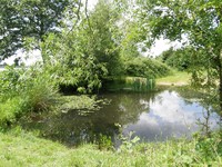 Image from Finchley Road to Wembley Park