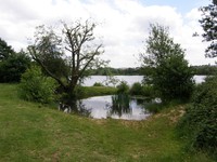 Image from Finchley Road to Wembley Park