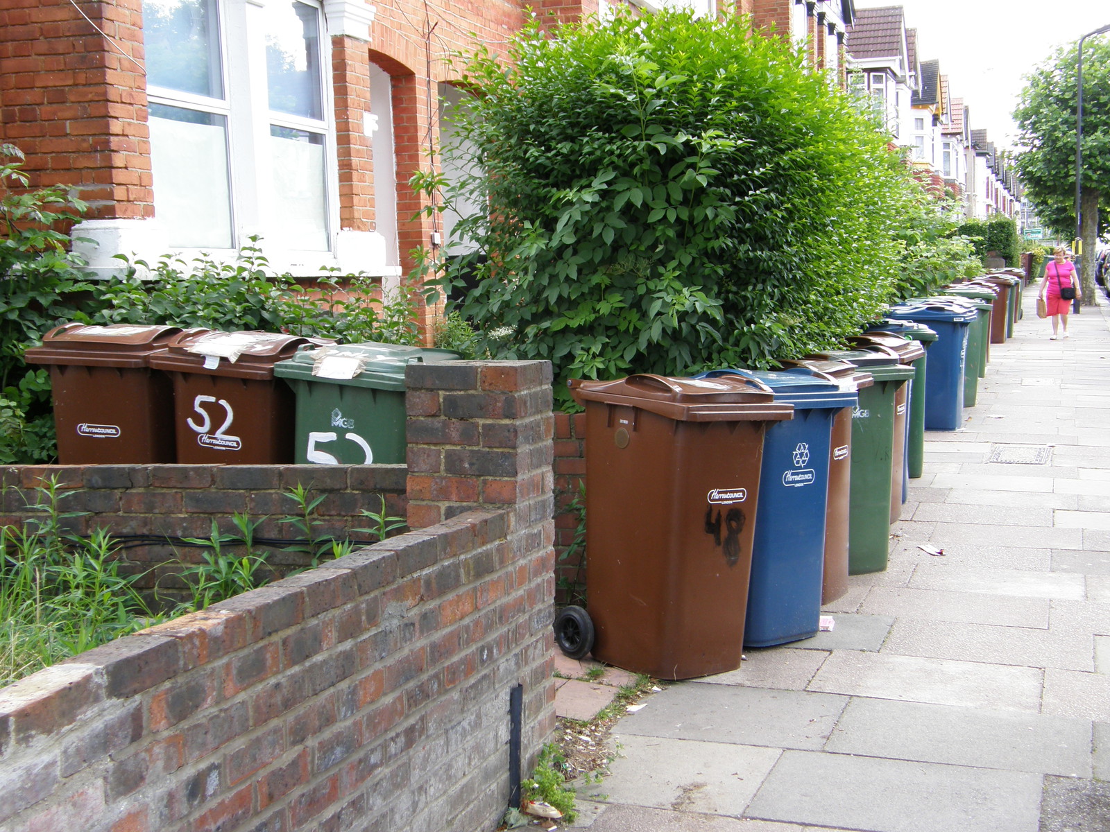 Bin day on Vaughan Road
