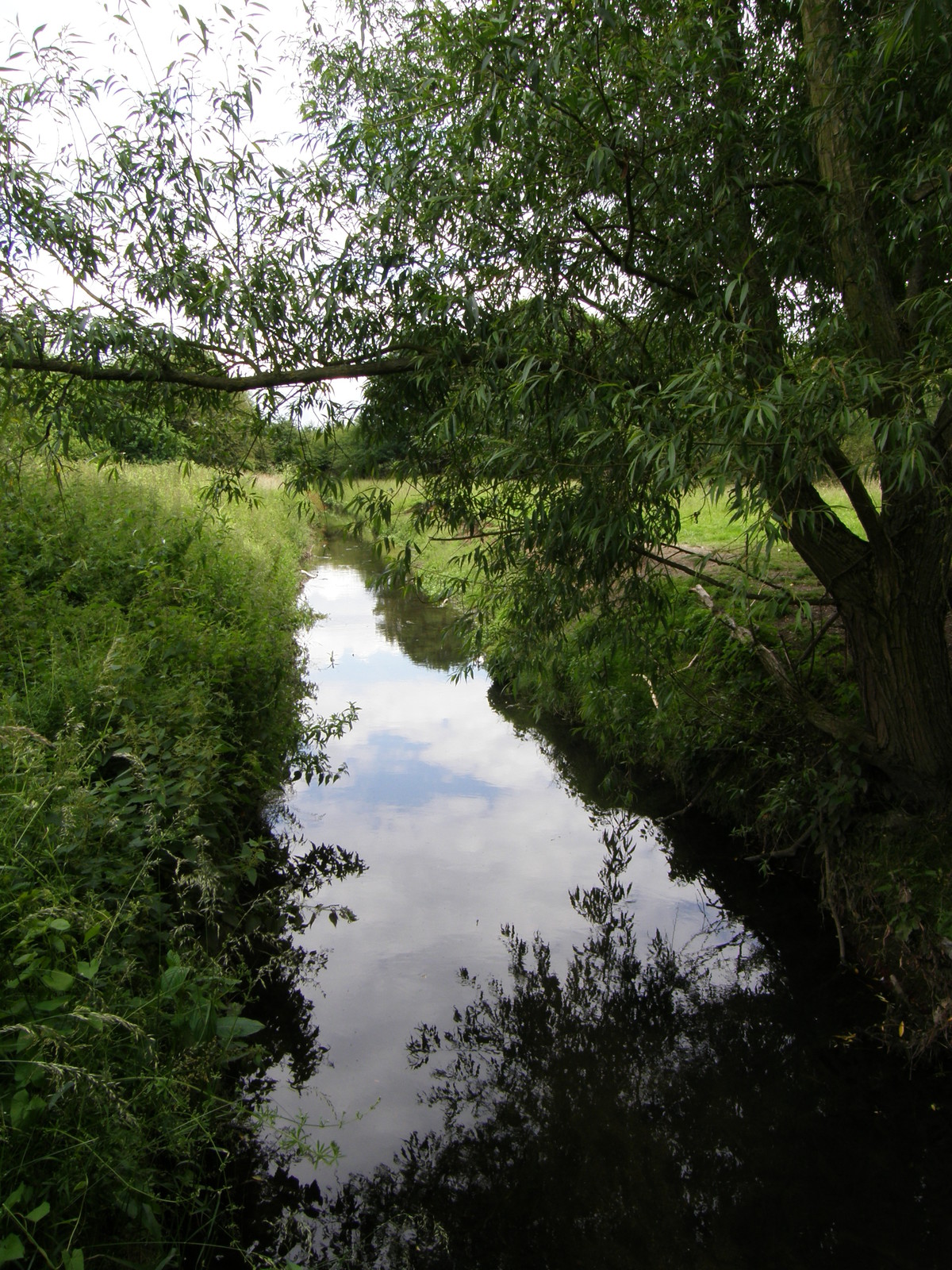 Yeading Brook