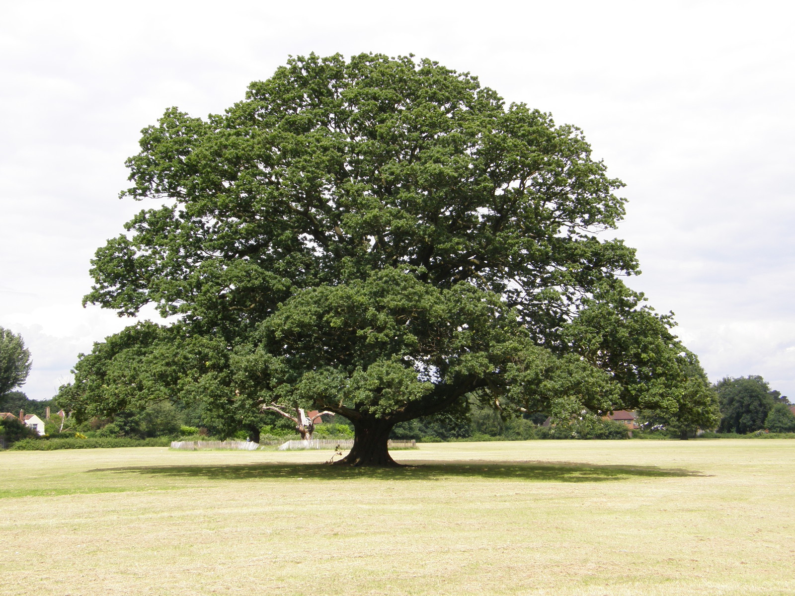 Image from Harrow-on-the-Hill to Uxbridge