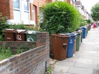 Bin day on Vaughan Road