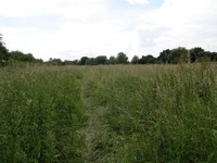 Image from Harrow-on-the-Hill to Uxbridge