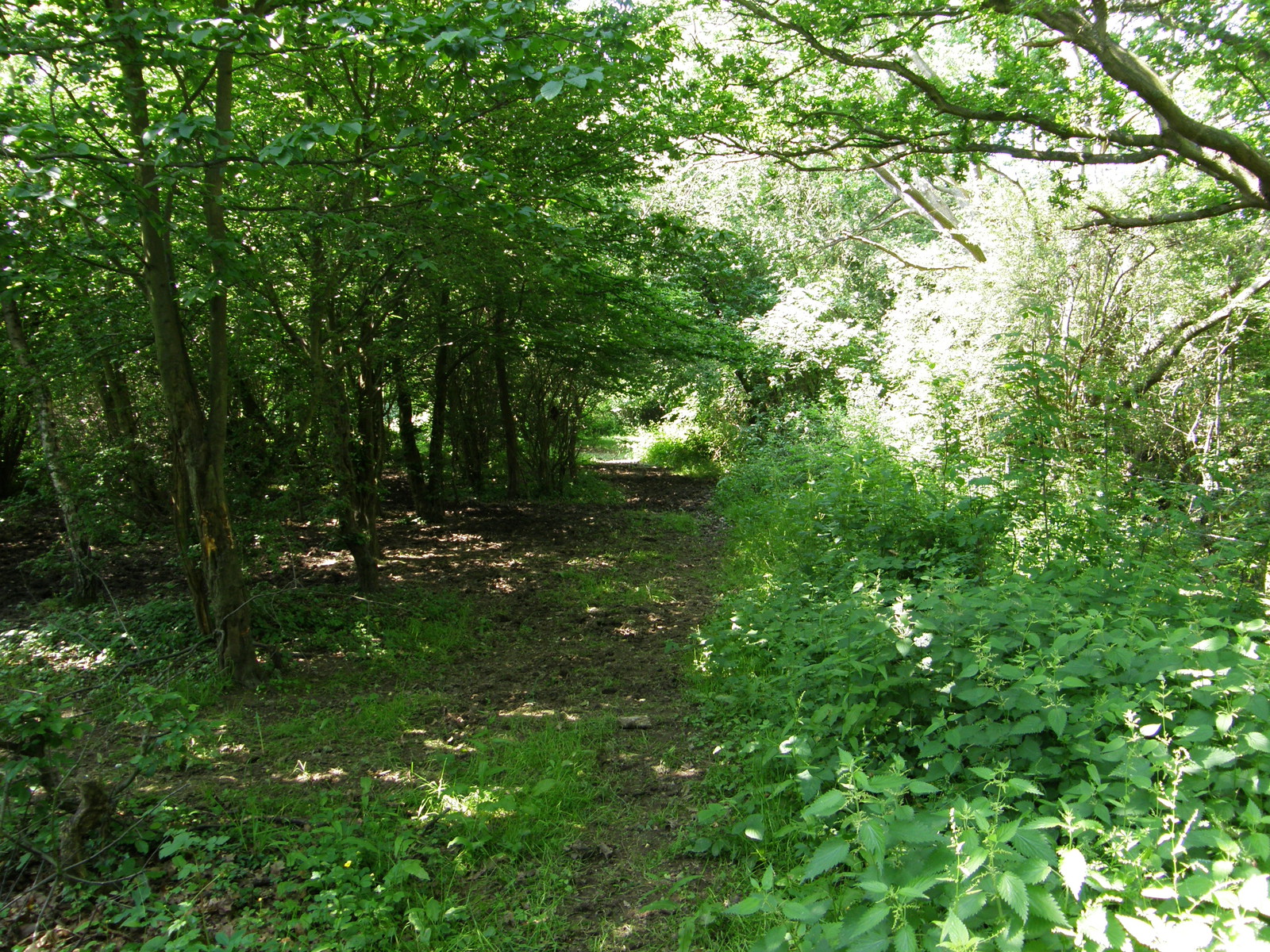 Image from North Harrow to Watford