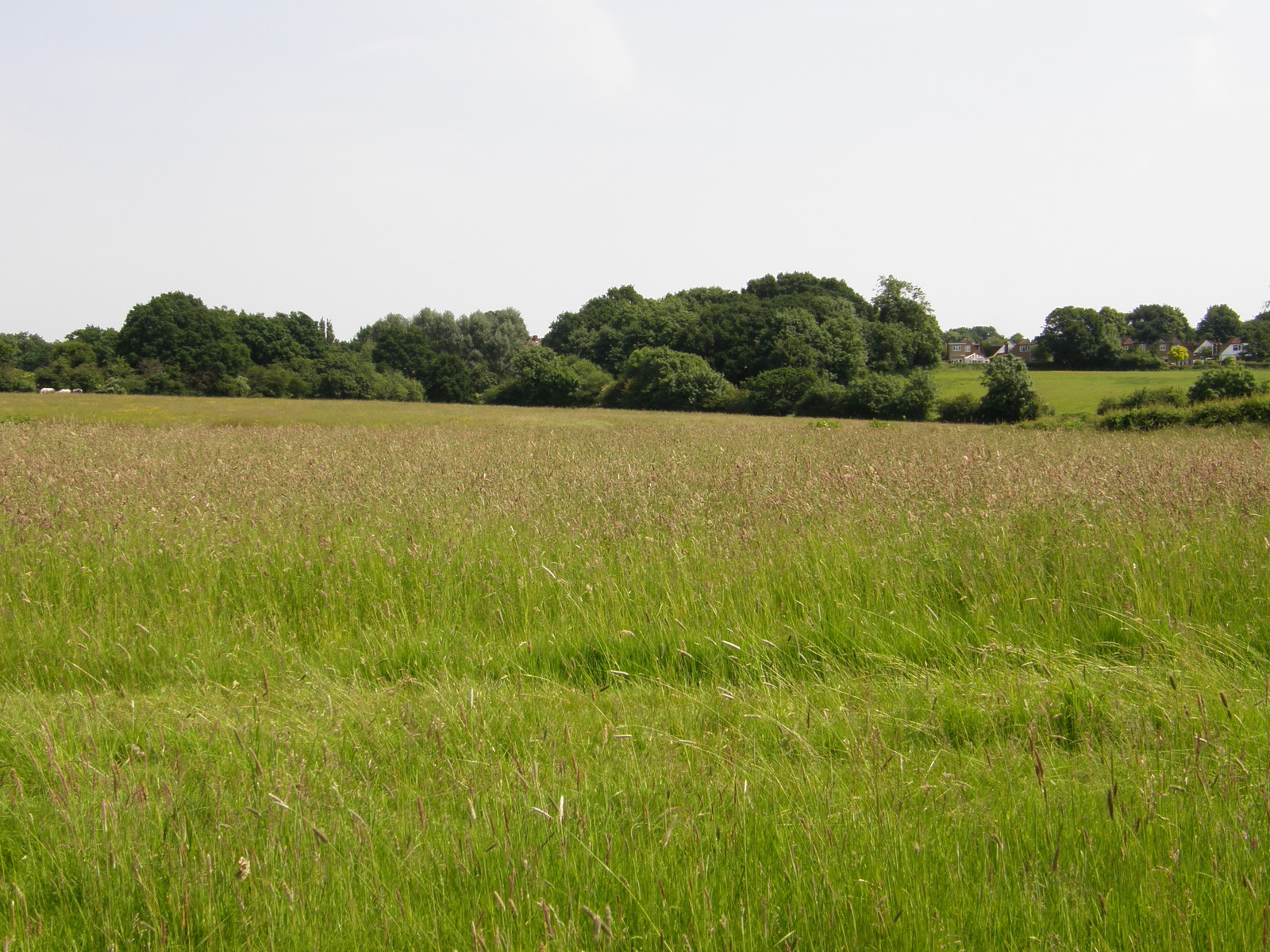 Image from North Harrow to Watford