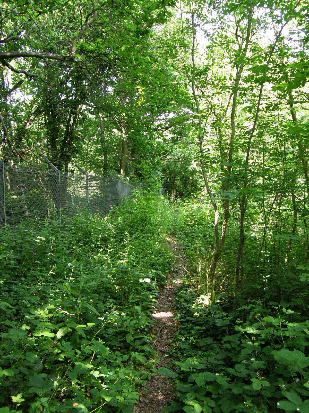 Image from North Harrow to Watford