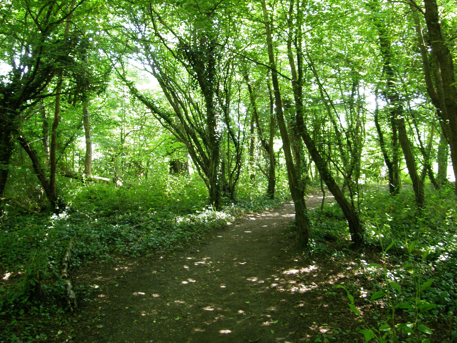 Image from North Harrow to Watford