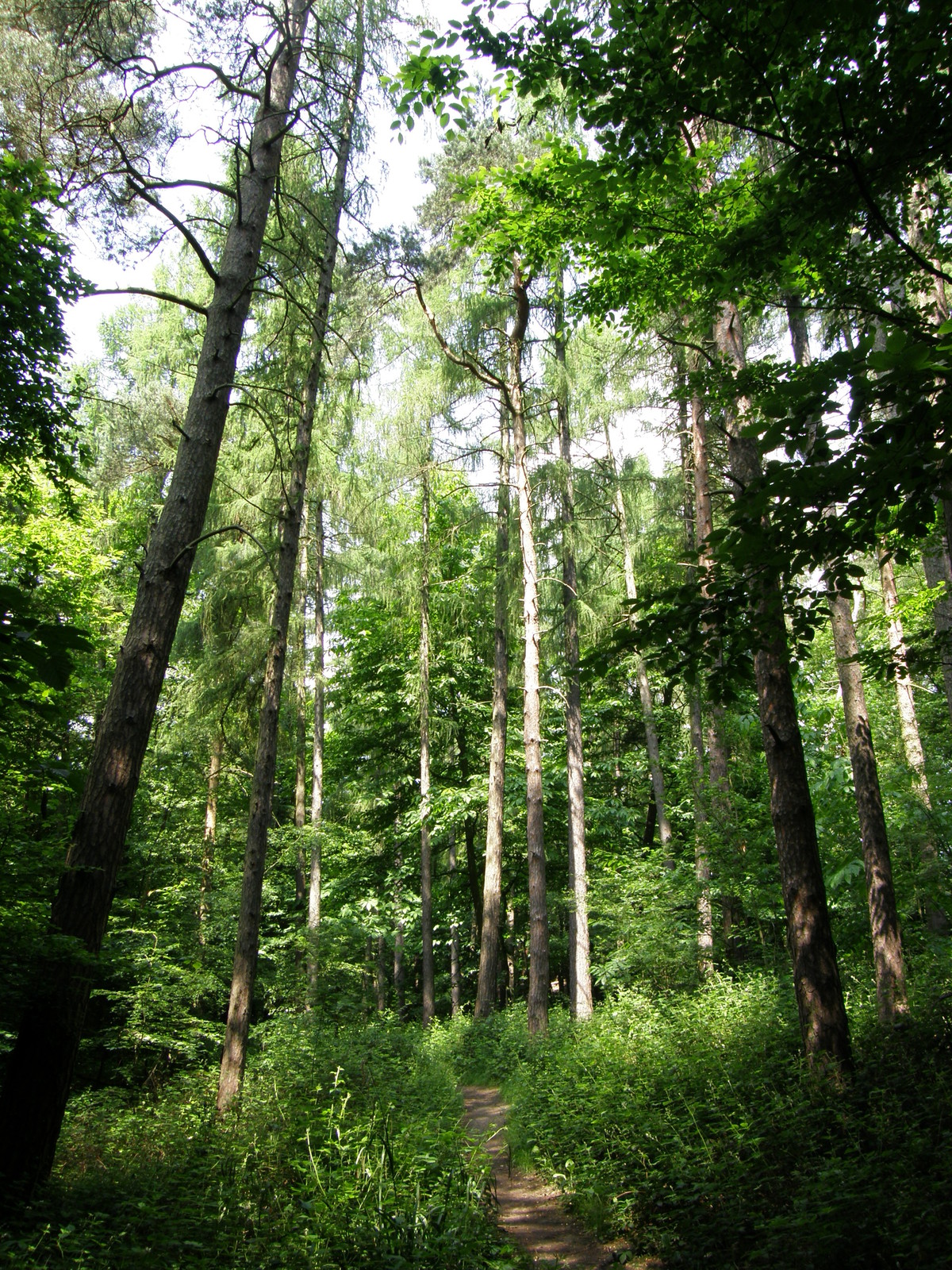 Image from North Harrow to Watford