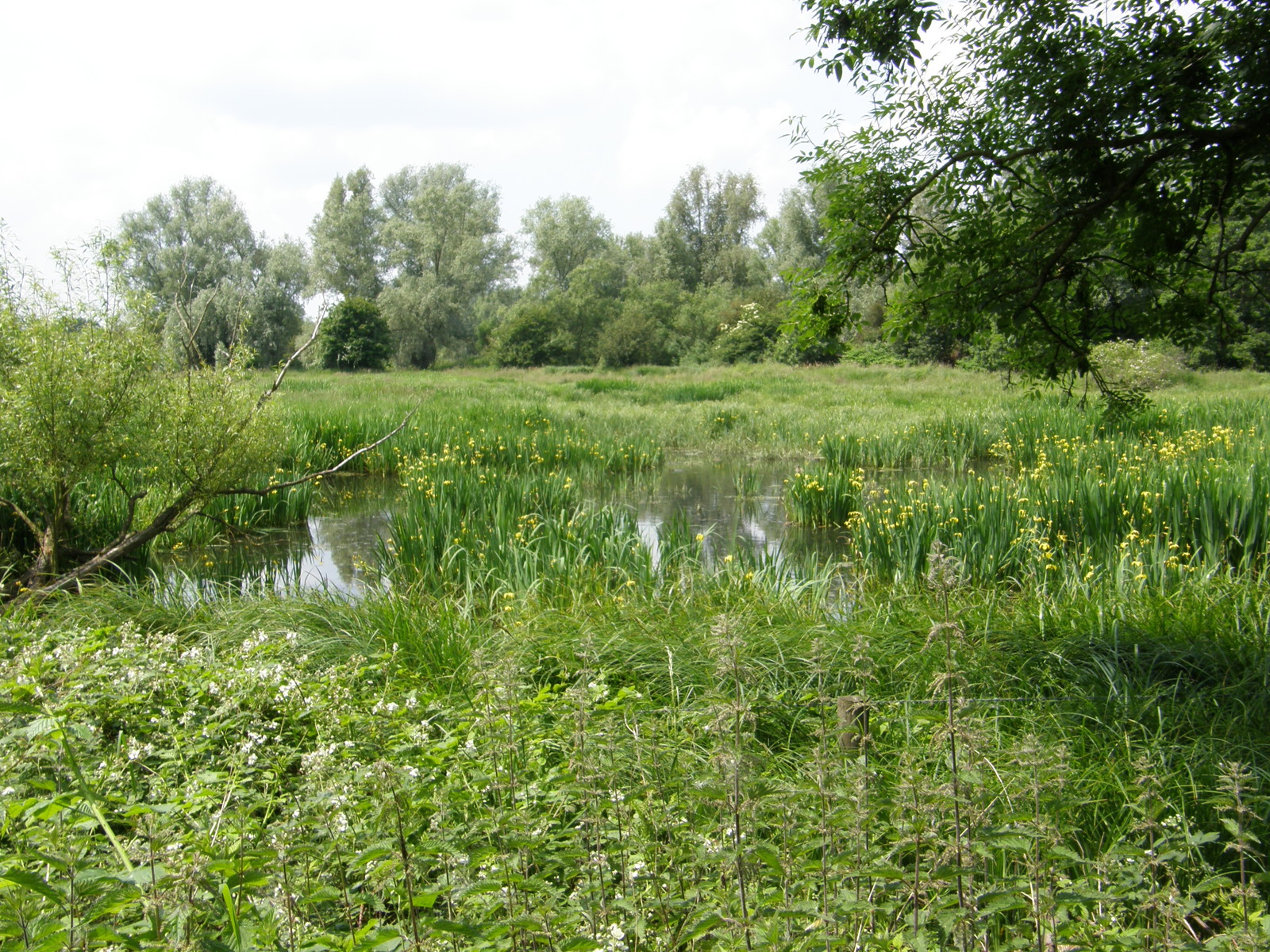 Image from North Harrow to Watford