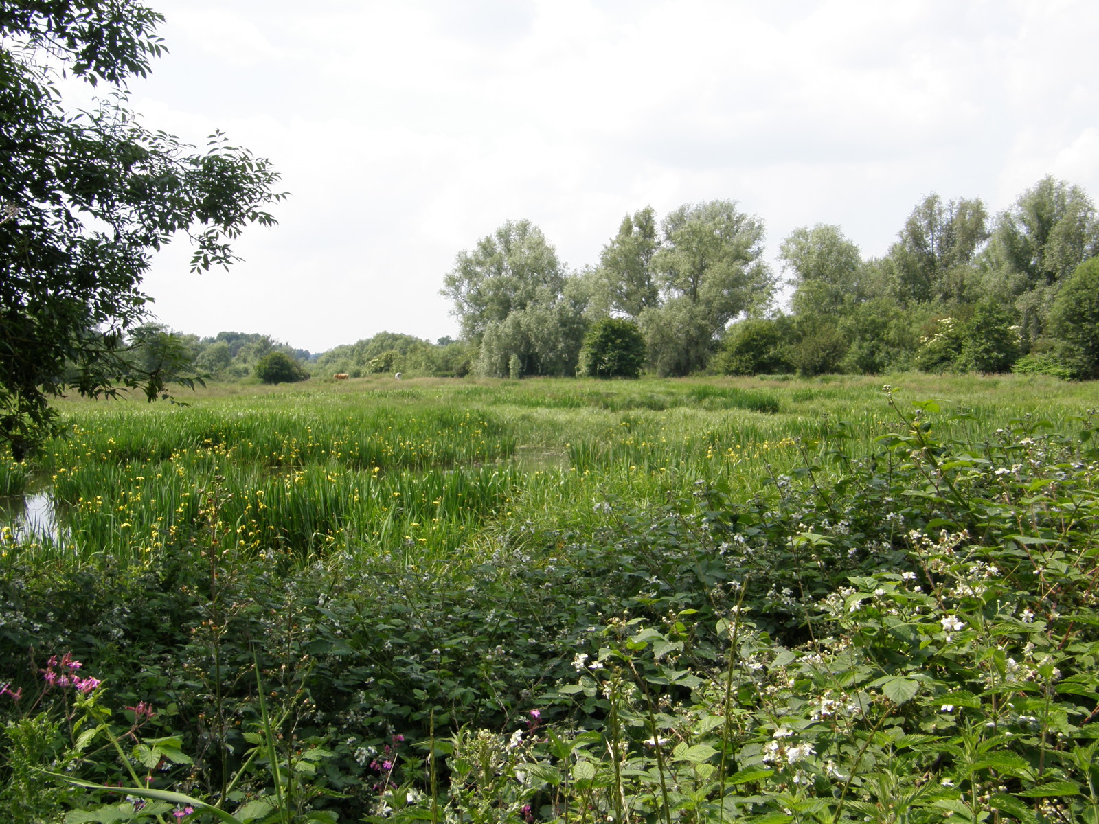 Fields seen from the A4145