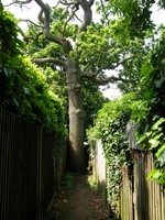Image from North Harrow to Watford