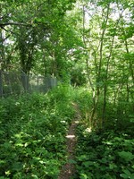 Image from North Harrow to Watford
