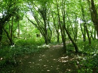 Image from North Harrow to Watford