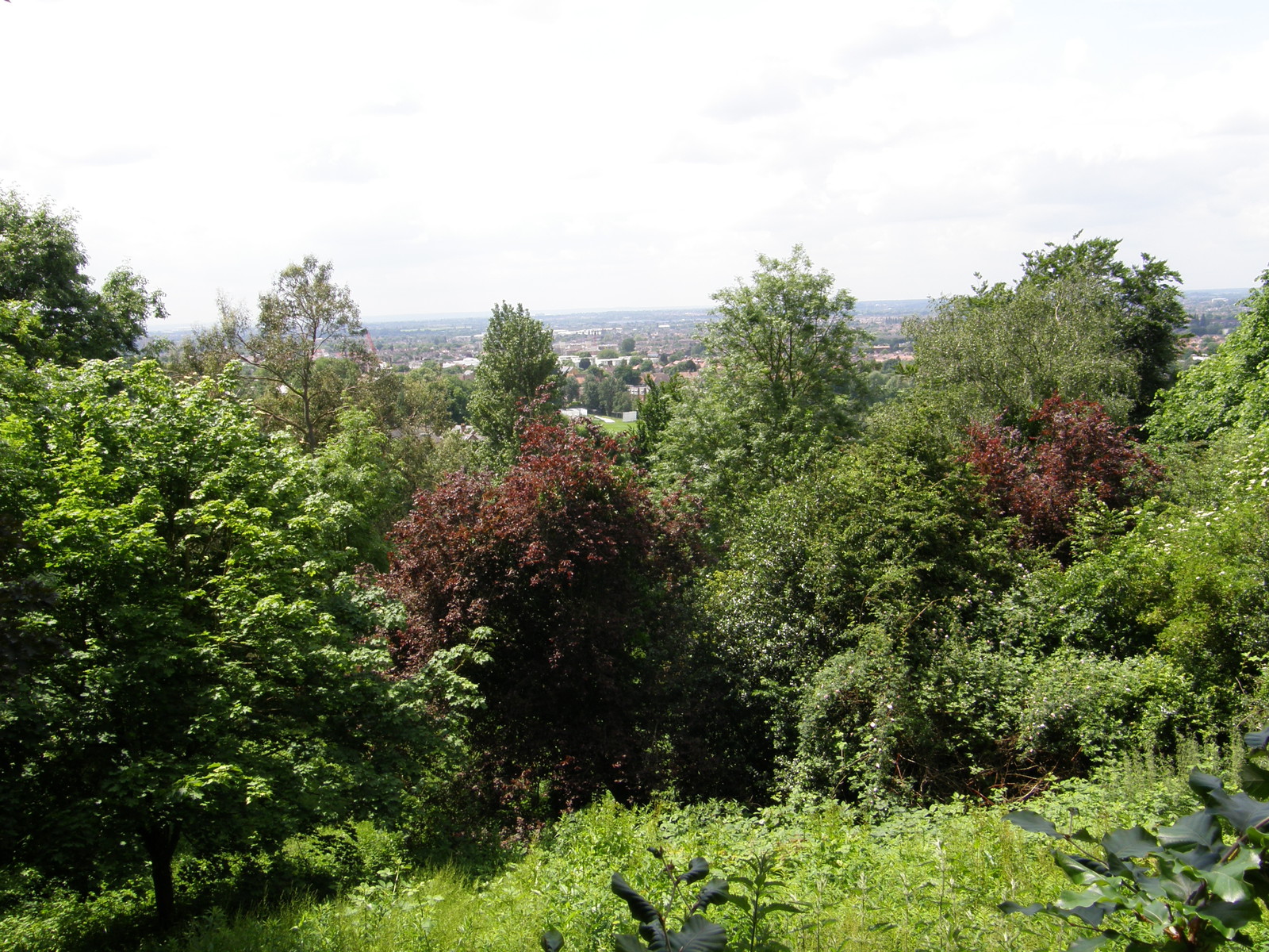 Image from Wembley Park to North Harrow