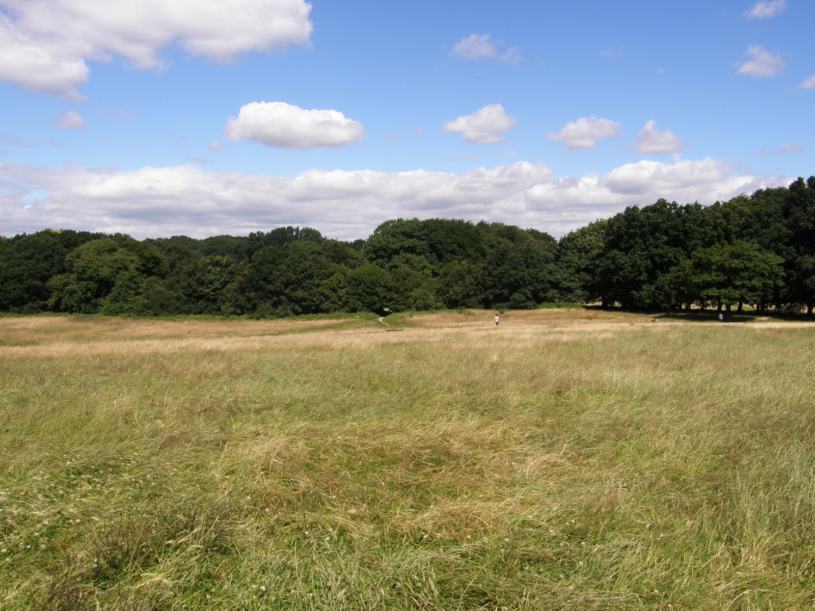 Image from Camden Town to Edgware