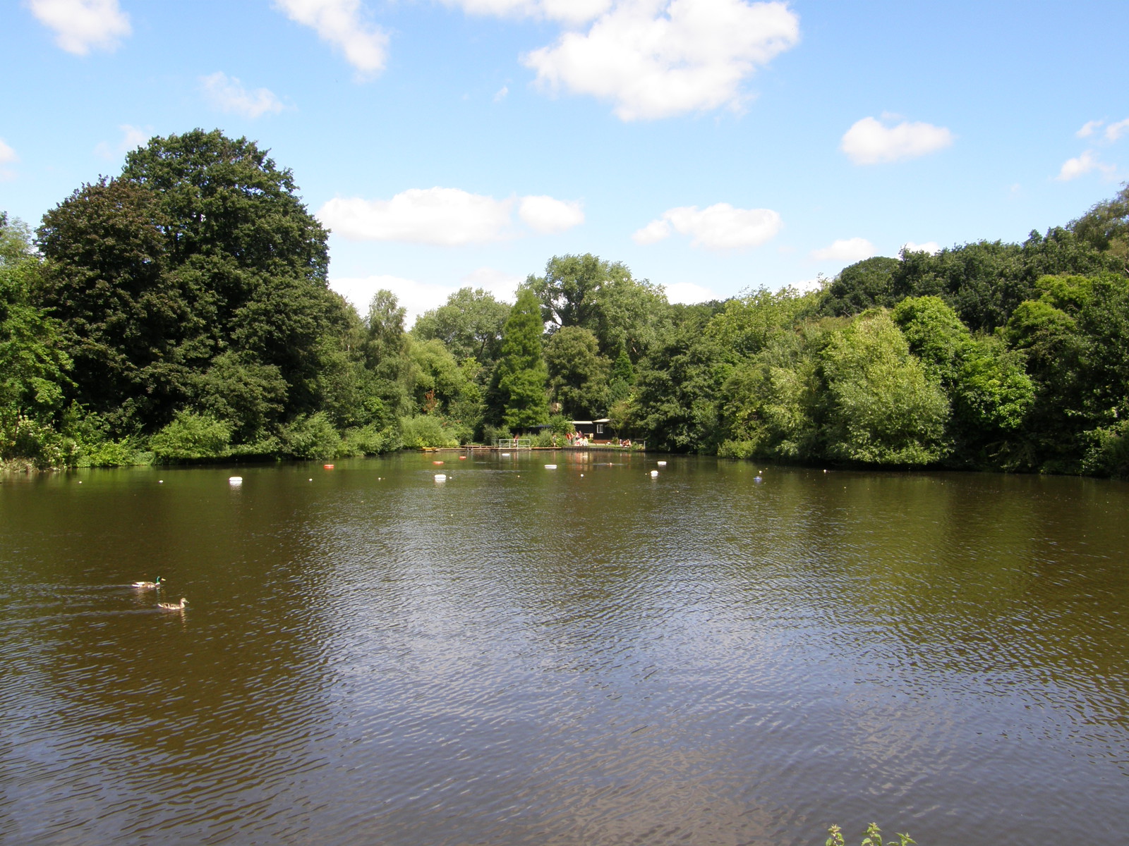 Hampstead Ponds, Hampstead Heath