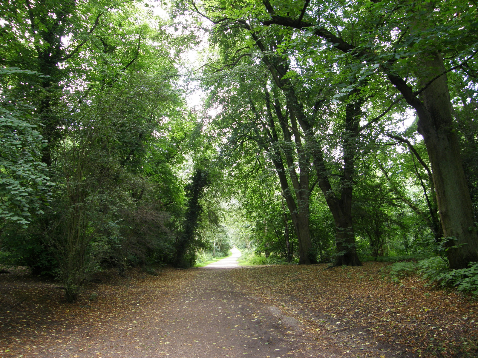 Image from Camden Town to Edgware