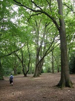 Struan heading off into the West Heath