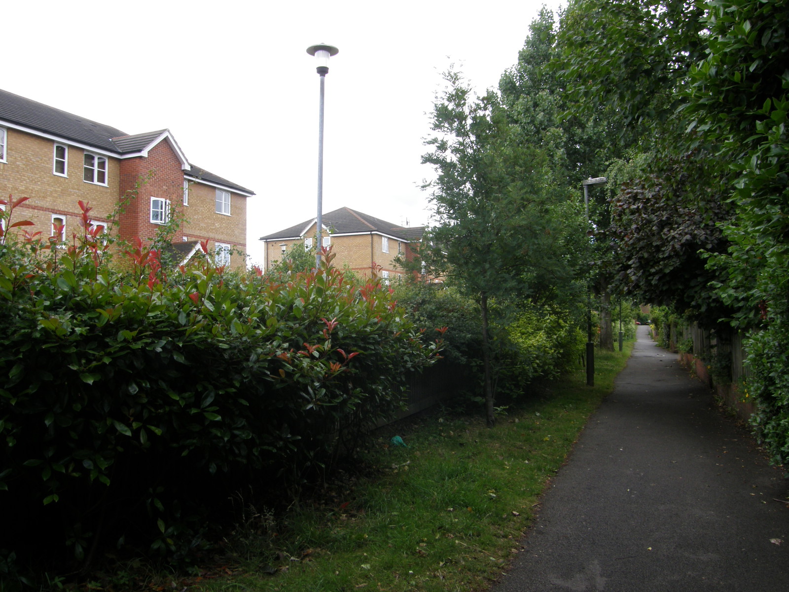 Image from East Finchley to Mill Hill East and High Barnet