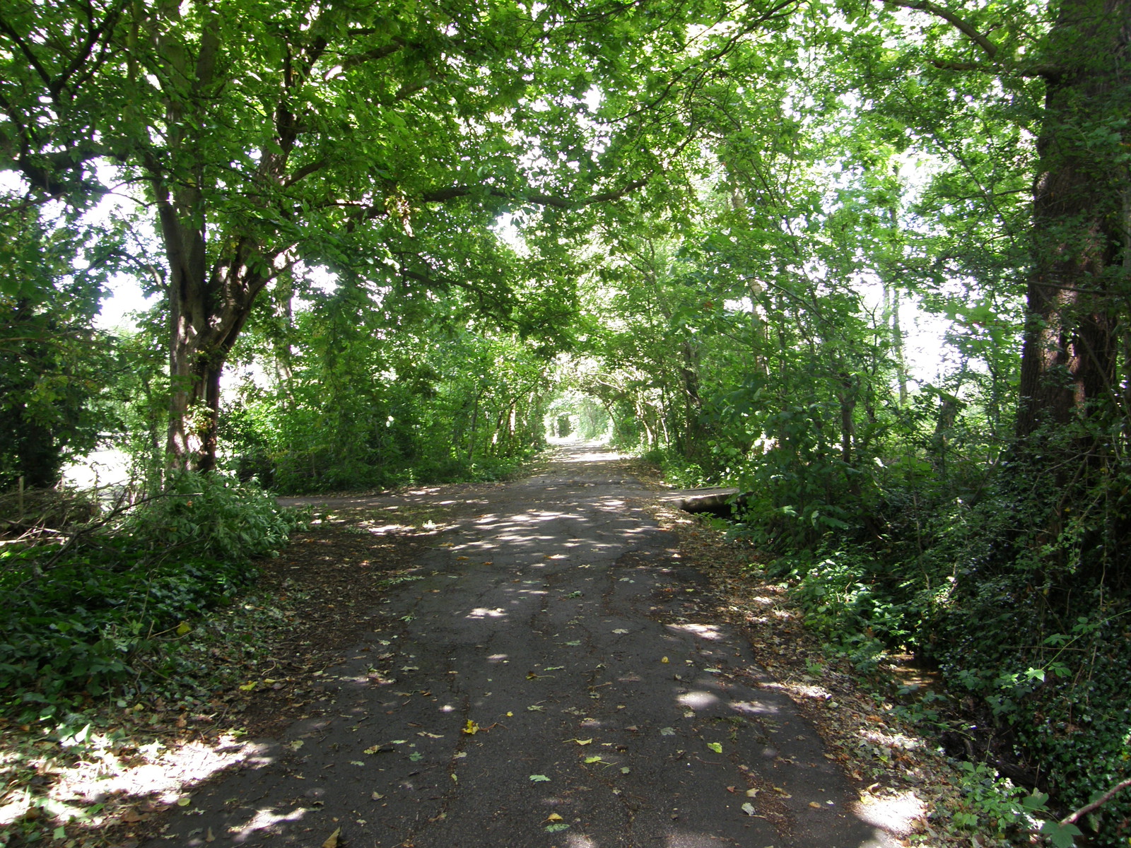 Image from East Finchley to Mill Hill East and High Barnet
