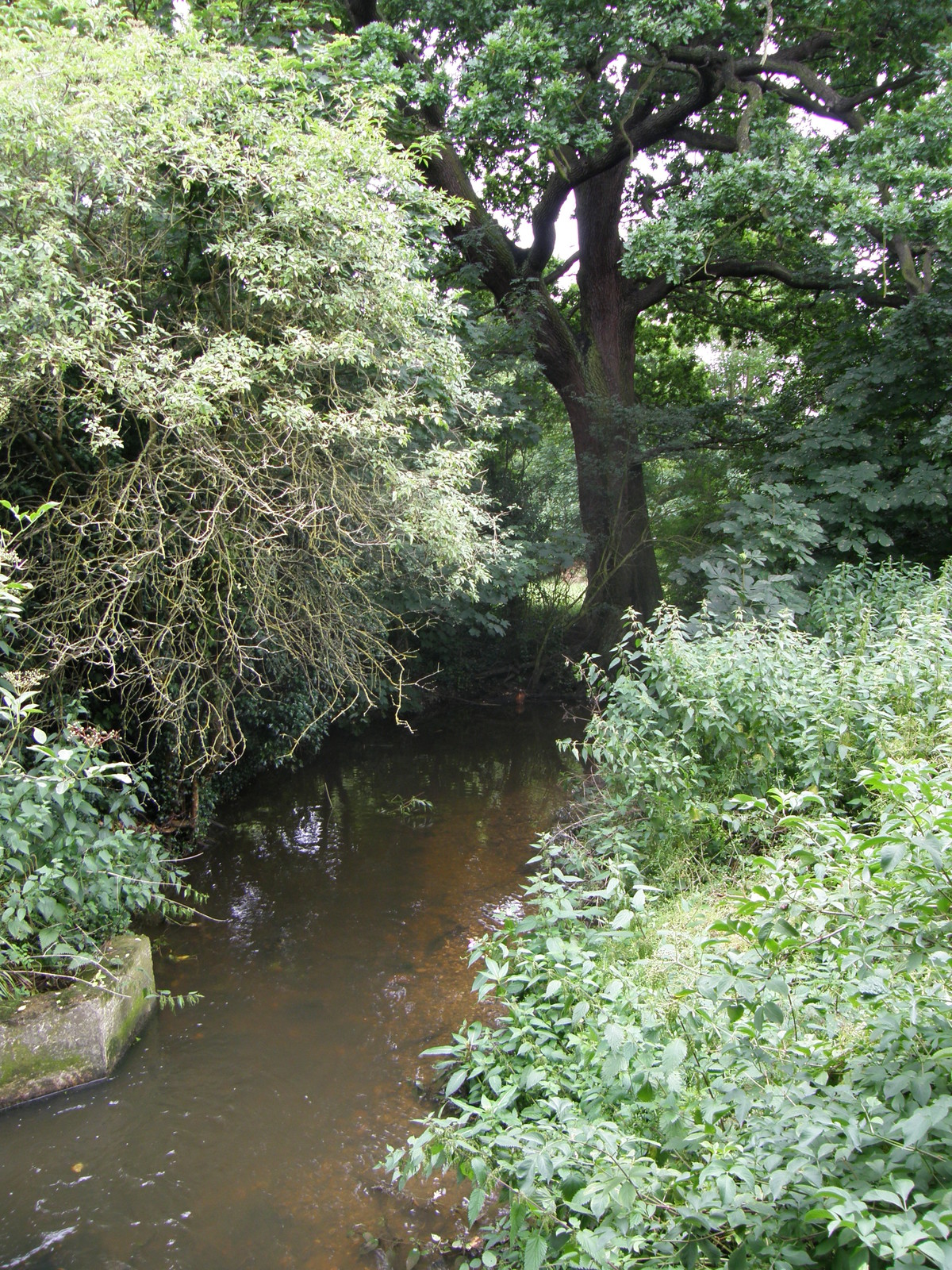 Image from East Finchley to Mill Hill East and High Barnet