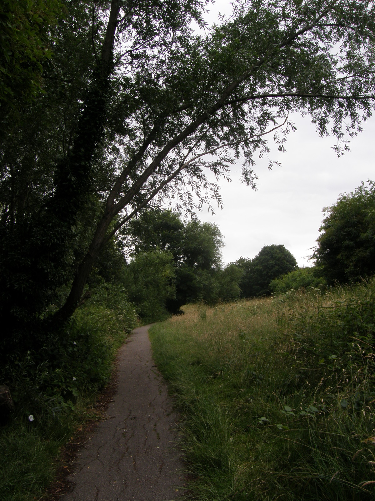 Image from East Finchley to Mill Hill East and High Barnet