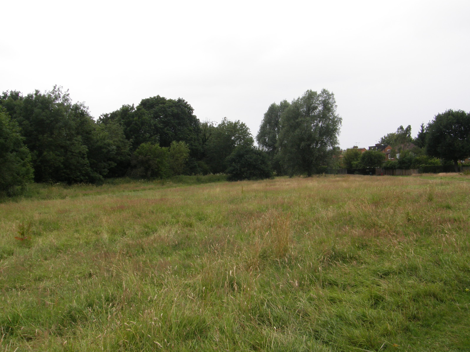 Image from East Finchley to Mill Hill East and High Barnet