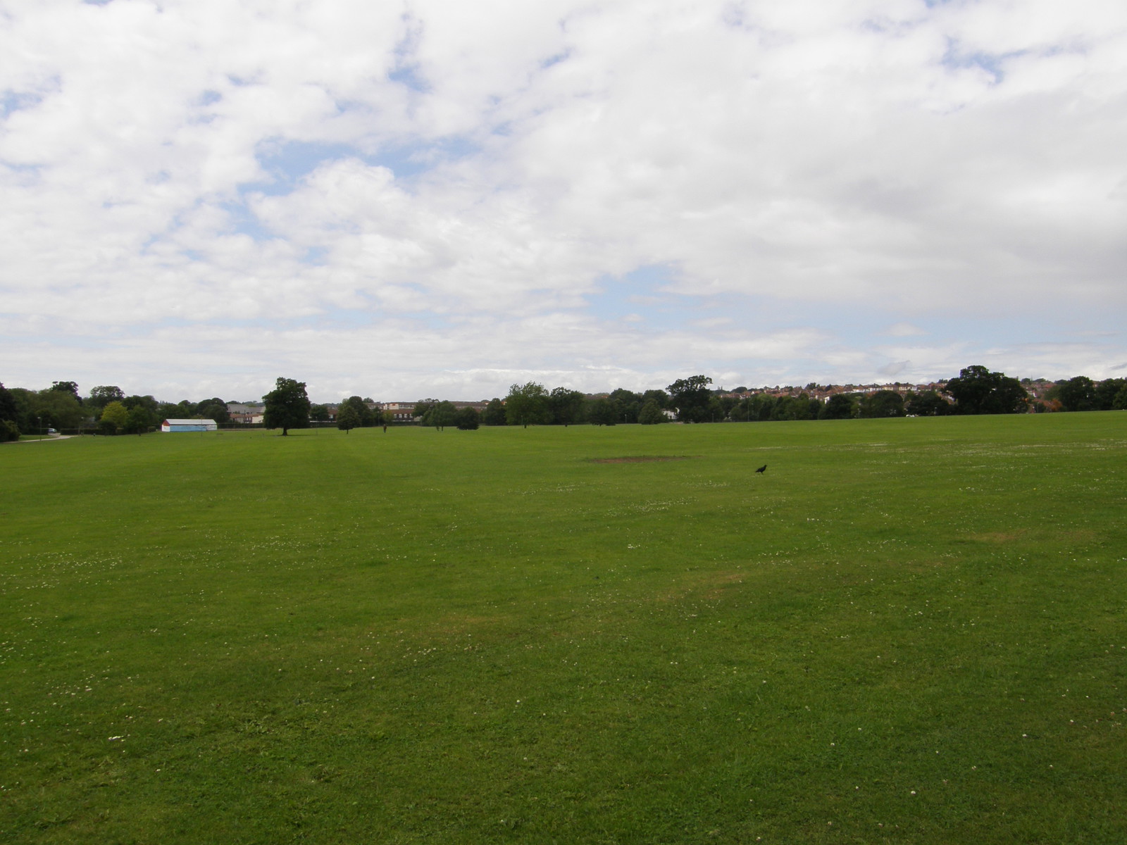 Image from East Finchley to Mill Hill East and High Barnet
