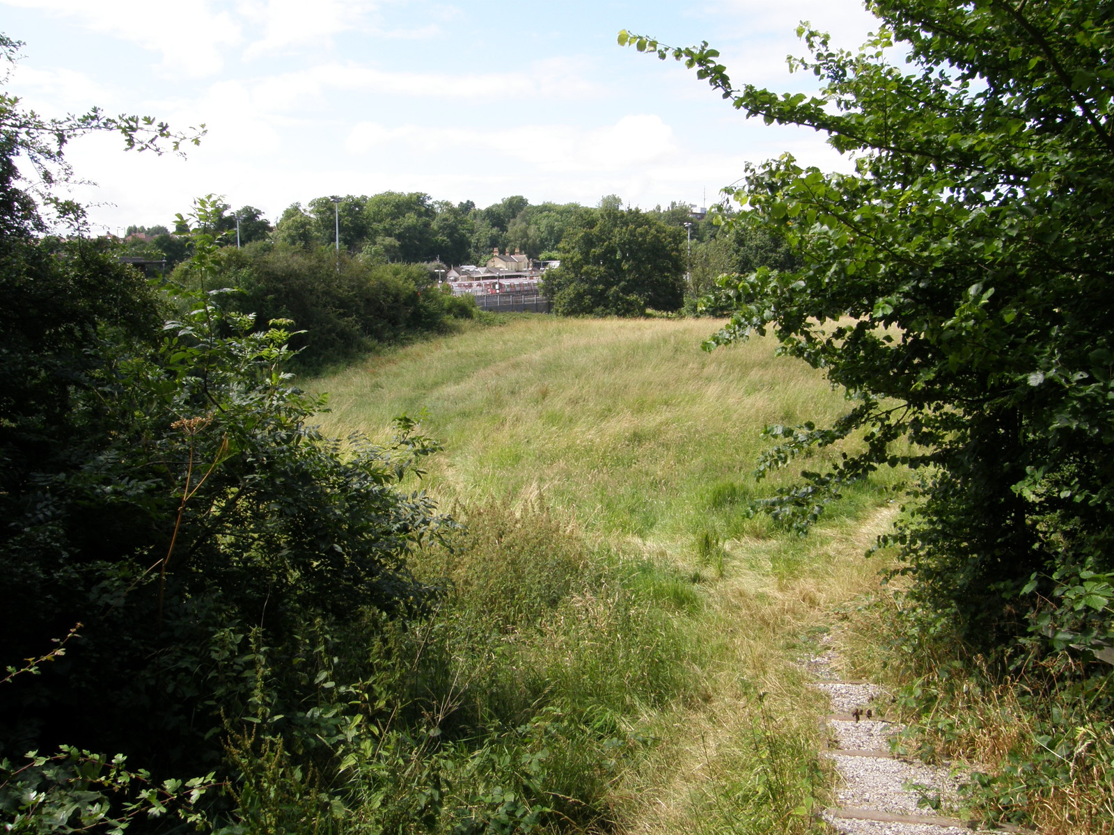 Meadows to the east of High Barnet station along the London Loop