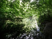 Image from East Finchley to Mill Hill East and High Barnet