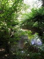 Image from East Finchley to Mill Hill East and High Barnet