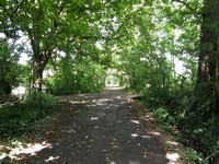 Image from East Finchley to Mill Hill East and High Barnet