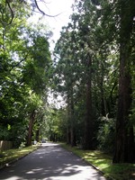 Image from East Finchley to Mill Hill East and High Barnet