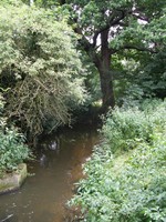 Image from East Finchley to Mill Hill East and High Barnet