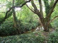 Image from East Finchley to Mill Hill East and High Barnet