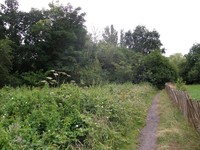 Along the Dollis Brook Greenway