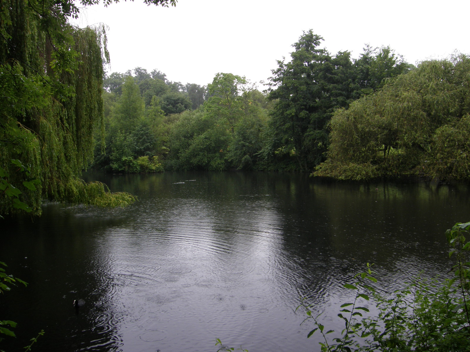 Image from Euston to East Finchley