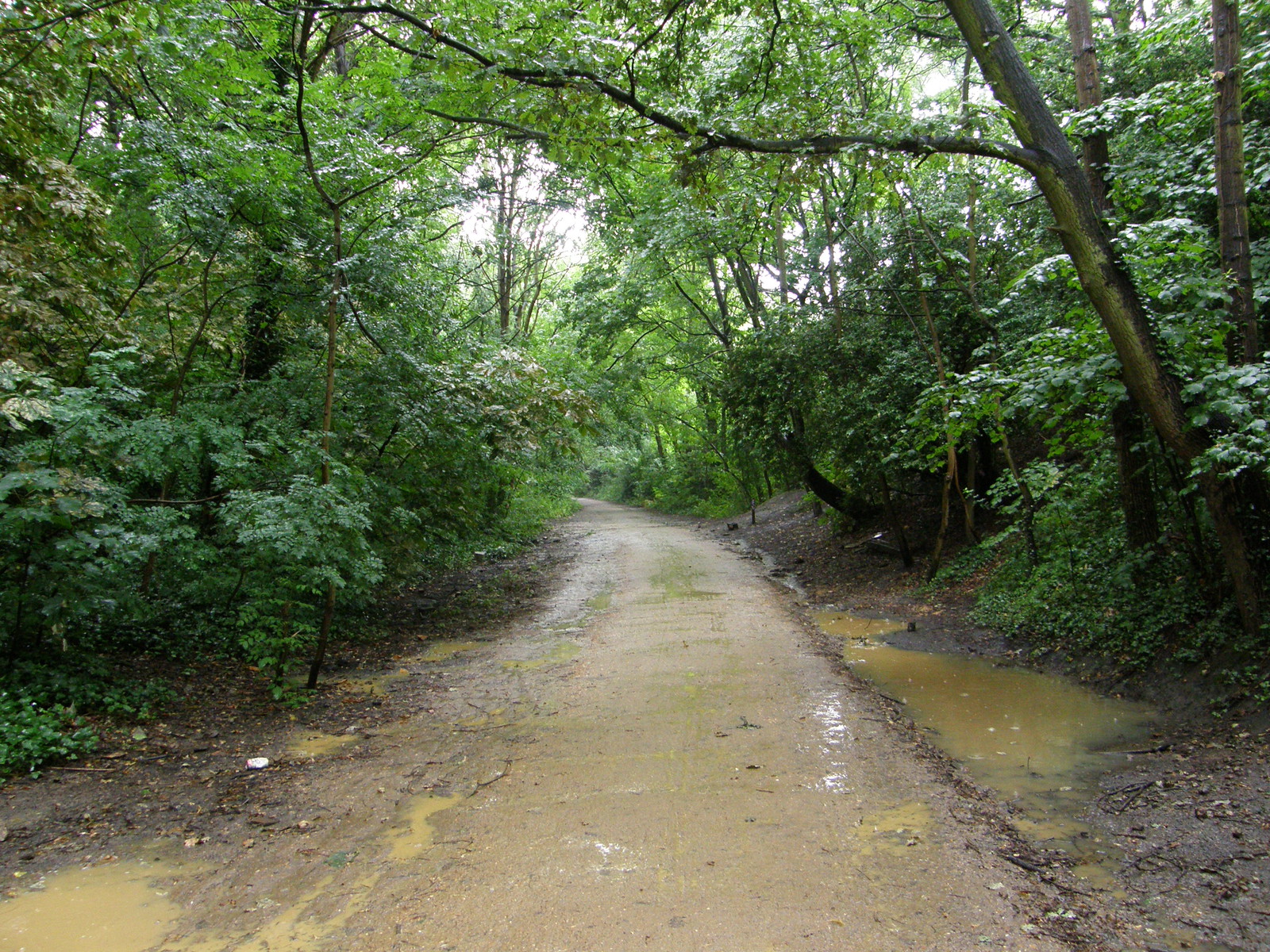 Image from Euston to East Finchley